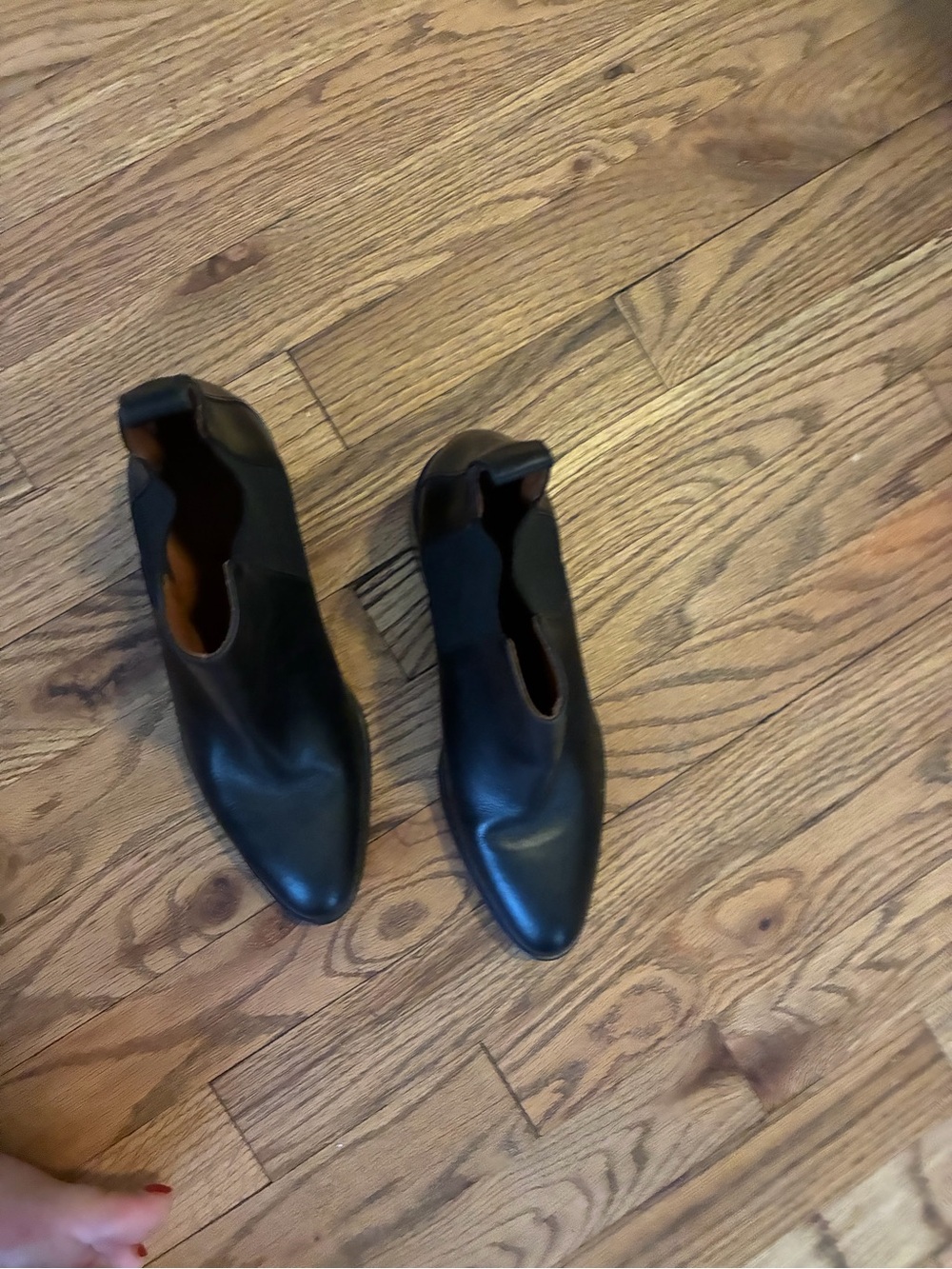 Everlane Sleek Black Pointed Chelsea Ankle Booties